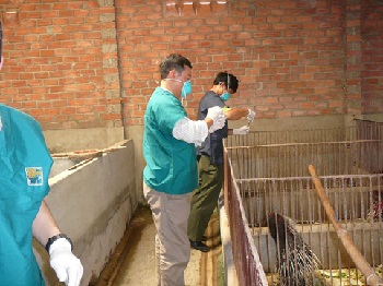 Nghiên cứu sức khỏe động vật hoang dã trên địa bàn tỉnh Đồng Nai_hình 3.jpg