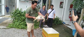 Chi cục Thủy Sản Đồng Nai tiếp nhận một cá thể rùa biển và bàn giao cho trạm bảo tồn động vật hoang dã_hình 3.jpg