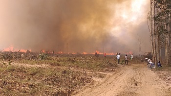 Diễn tập chữa cháy rừng tại Ban quản lý rừng phòng hộ Xuân Lộc_hình 2.jpg