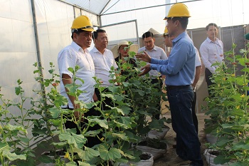 Huyện Xuân Lộc Tái cơ cấu ngành nông nghiệp gắn với xây dựng nông thôn mới nâng cao_Hình 1.JPG