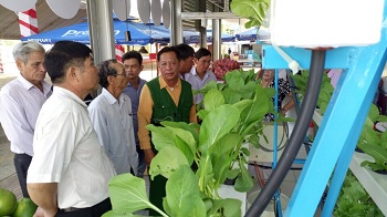 Hội Làm vườn tỉnh Đồng Nai đồng hành cùng nông dân tham gia cung ứng rau_Hình 1.JPG