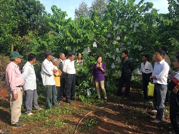 Hội thảo nhân rộng mô hình trồng mãng cầu na hạt lép Kim Mai trên địa bàn huyện Định Quán_Hình 1.jpeg