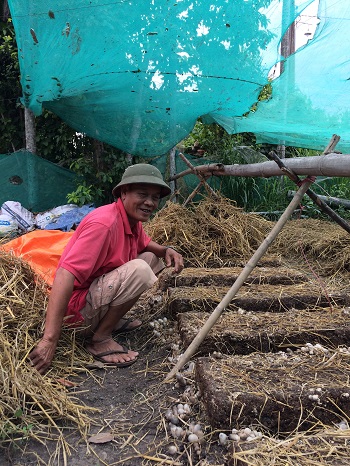 Kết quả từ lớp dạy nghề trồng nấm rơm ở xã Long Phước_hình 1.JPG