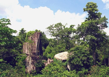 Quỹ Bảo vệ và Phát triển rừng tỉnh Đồng Nai Mười năm nhìn lại một chặng đường_hình 1.jpg