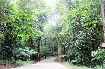 Quỹ bảo vệ và phát triển rừng thực hiện chính sách chi trả dịch vụ môi trường rừng_Hình 3.jpg