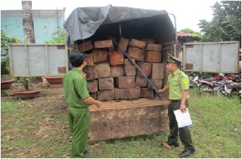 Thực hiện kế hoạch truy quét trong lĩnh vực quản lý, bảo vệ rừng và quản lý Lâm sản của UBND huyện Tân Phú _Hình 1.jpg
