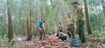 Xây dựng chiến lược dài hạn phát triển kinh tế rừng_Hình 1.jpg