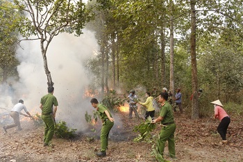 diễn tập chữa cháy rừng mùa khô năm 2020-2021 tại lâm phận Biên Hòa_hình 1.jpg