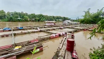 Kiểm tra tình hình ngập lụt do mưa lũ trên địa bàn huyện Định Quán_hình 1.png