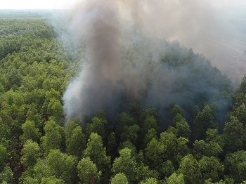 diễn tập chữa cháy rừng mùa khô 2023 – 2024 tại Ban Quản lý rừng phòng hộ Xuân Lộc_hình 1.JPG