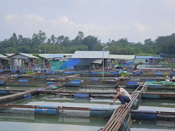 hội nghị phòng, chống dịch bệnh thủy sản năm 2024 và Kế hoạch năm 2025_hình 6.jpg