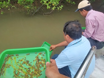 ​thả giống cá tái tạo nguồn lợi thủy sản trên các thủy vực tự nhiên trên địa bàn tỉnh Đồng Nai năm 2024_hình 2.jpg