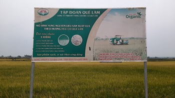 thực hiện Kế hoạch chuyển đổi cơ cấu cây trồng trên đấttrồng lúa tỉnh Đồng Nai năm 2023_hình 1.jpg