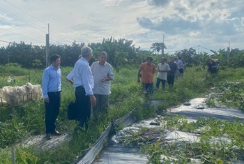 tập huấn nâng cao năng lực cho cán bộ khuyến nông, nông dân và tổ khuyến nông cộng đồng_hình 4.jpg