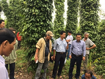 Đề xuất ban hành chính sách hỗ trợ phát triển sản xuất nông nghiệp hữu cơ trên địa bàn tỉnh Đồng Nai_hình 2.jpg